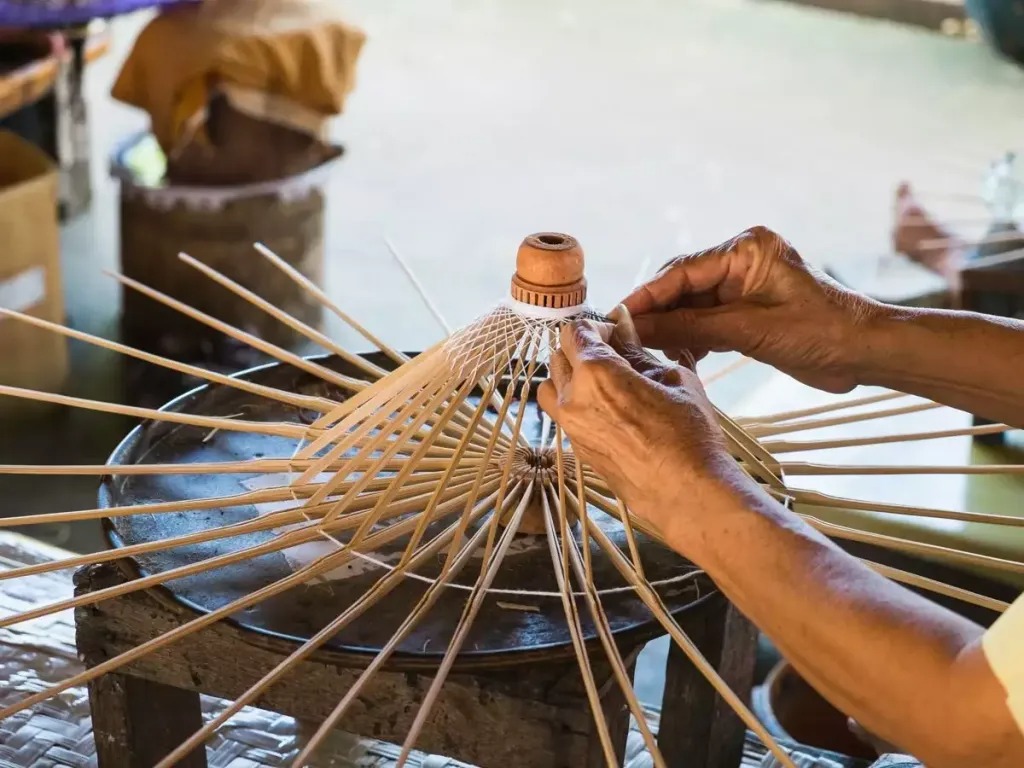 Bamboo Harvesting